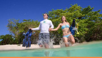 green island tours great adventures